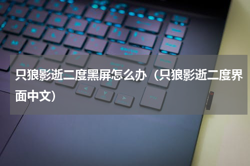 只狼影逝二度黑屏怎么办(只狼影逝二度界面中文)