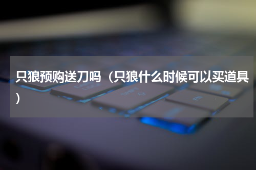 只狼预购送刀吗(只狼什么时候可以买道具)