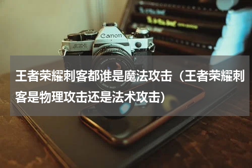 王者荣耀刺客都谁是魔法攻击(王者荣耀刺客是物理攻击还是法术攻击)