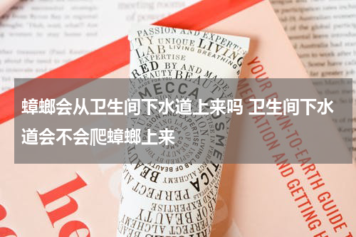 蟑螂会从卫生间下水道上来吗 卫生间下水道会不会爬蟑螂上来