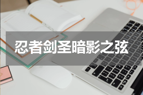 忍者剑圣暗影之弦