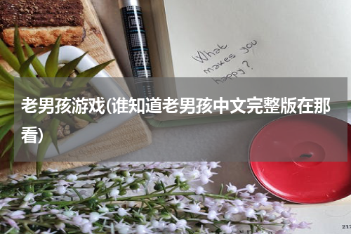 老男孩游戏(谁知道老男孩中文完整版在那看)